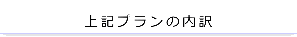 上記プランの内訳